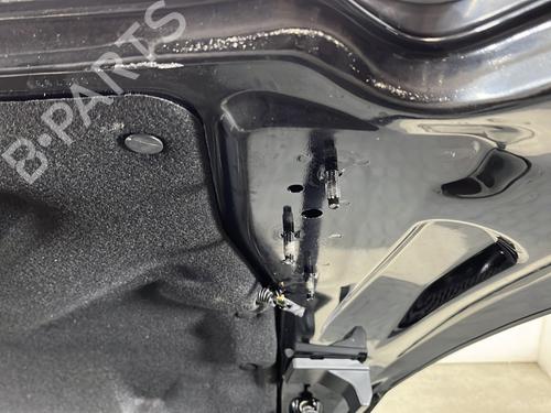 Used Tailgate Tailgate 22274224 22274224