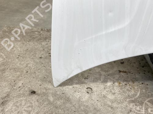 Hood CITROËN BERLINGO / BERLINGO FIRST Box Body/MPV (M_) 1.9 D 70 (MBWJZ, MCWJZ) | BP21959257C1 