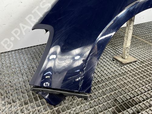 Left front fenders DACIA SANDERO 1.4 (BS0C, BS0A, BS0G, BS1F, BS0E) | BP29141815C41 