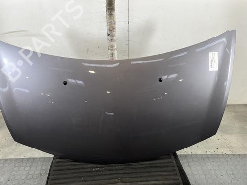 Used Hood RENAULT CLIO III (BR0/1, CR0/1) 1.5 dCi (C/BR0G, C/BR1G) (68 hp) 30720029
