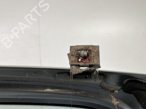 Tailgate RENAULT KANGOO (KC0/1_) D 65 1.9 (KC0E, KC02, KC0J, KC0N) | BP29413603C6 