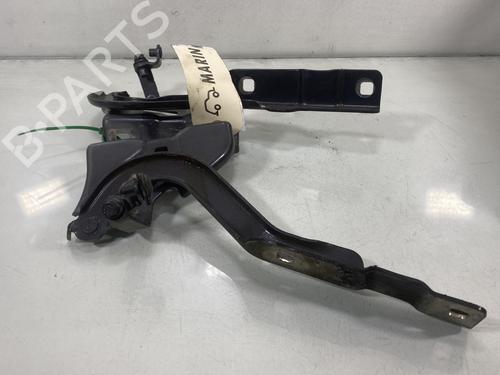 Used Hinge/Door check strap DACIA SANDERO III 1.0 SCe 65 (67 hp) 29995758