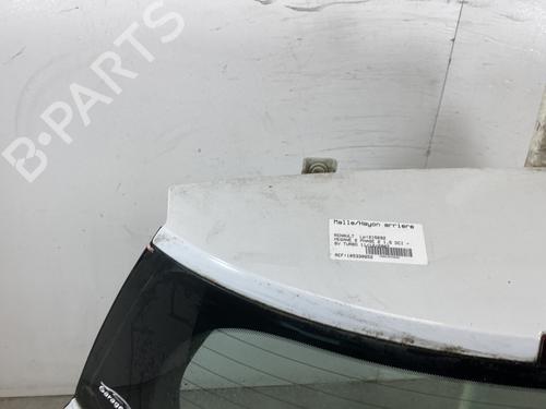 Tailgate RENAULT MEGANE II (BM0/1_, CM0/1_) 1.5 dCi (BM1E, CM1E) | BP25592802C6 