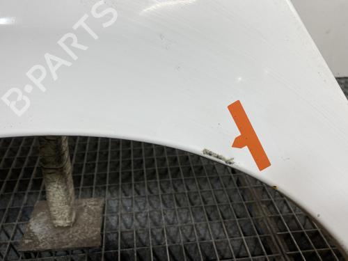 Left front fenders PEUGEOT 207 (WA_, WC_) 1.4 HDi | BP22700289C41