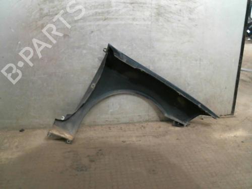 Left front fenders RENAULT LAGUNA II (BG0/1_) 1.9 dCi (BG1A, BG1W, BG0G) | BP21951252C41 