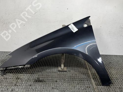 Used Left front fenders RENAULT LAGUNA III (BT0/1) 2.0 dCi (BT01, BT08, BT09, BT0E, BT0K, BT12, BT1C, BT1D,... (150 hp) 27607506