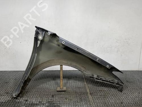 Kotflügel links vorne für RENAULT LAGUNA III (BT0/1) 2.0 dCi (BT01, BT08, BT09, BT0E, BT0K, BT12, BT1C, BT1D,... (150 hp) 21961656