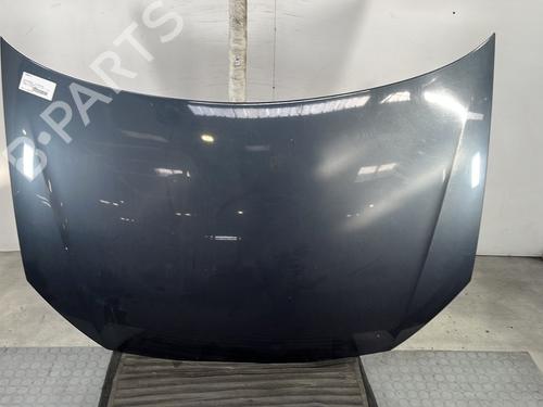 Used Hood VW POLO IV (9N_, 9A_) 1.4 TDI (70 hp) 29119632