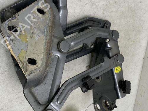 Hinge/Door check strap VW TOUAREG (7LA, 7L6, 7L7) 2.5 R5 TDI | BP26212882C146 