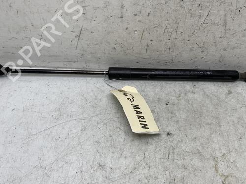 Hood lift support DACIA DOKKER MPV (KE_) 1.5 dCi (KEAJ, KEAH) | BP19965512C139