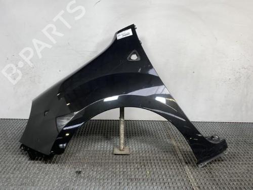 Left front fenders RENAULT KANGOO / GRAND KANGOO II (KW0/1_) 1.5 dCi 85 (KW0K, KW0L, KW0B) | BP23768407C41 