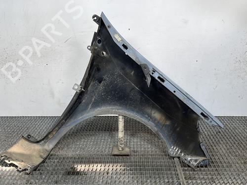 Left front fenders RENAULT CLIO III (BR0/1, CR0/1) 1.5 dCi (C/BR0G, C/BR1G) | BP28279472C41 