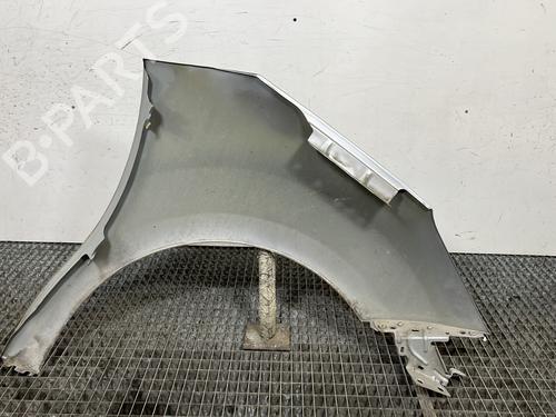 Left front fenders CITROËN C3 II (SC_) 1.2 VTi 82 | BP29352848C41 