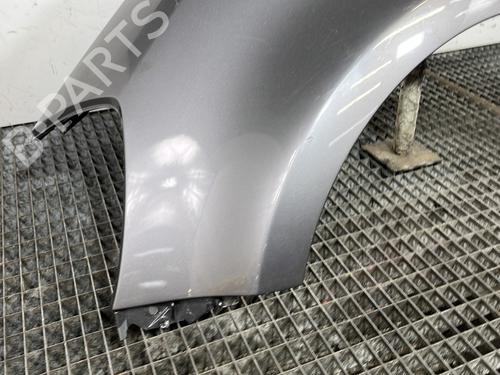 Left front fenders RENAULT CLIO III (BR0/1, CR0/1) 1.2 16V Hi-Flex (BR1U, CR1U) | BP29933225C41