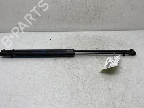 Tailgate lift support SEAT ALTEA (5P1)  | BP20022619C138 