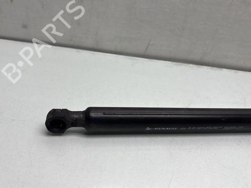 Hood lift support DACIA SANDERO II TCe 90 (B8M1, B8MA, B8AC) | BP29841667C139