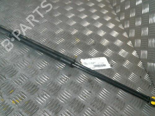 Used Tailgate lift support OPEL CORSA D (S07) 1.3 CDTI (L08, L68) (90 hp) 19998089