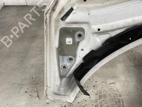 Hood RENAULT SCÉNIC III (JZ0/1_) 1.9 dCi (JZ0J, JZ1J, JZ1K, JZ1S) | BP19954873C1
