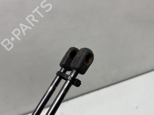 Tailgate lift support AUDI A6 C6 Avant (4F5) 2.0 TDI | BP29508233C138 