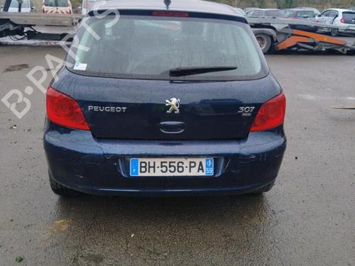 Left front door PEUGEOT 307 (3A/C) 1.6 HDi | BP19956099C2 