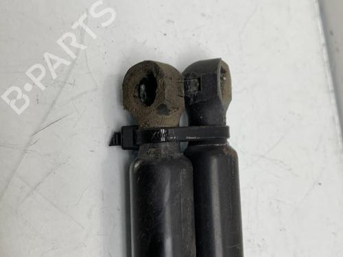 Tailgate lift support RENAULT CLIO IV (BH_) 1.5 dCi 75 | BP20008106C138 