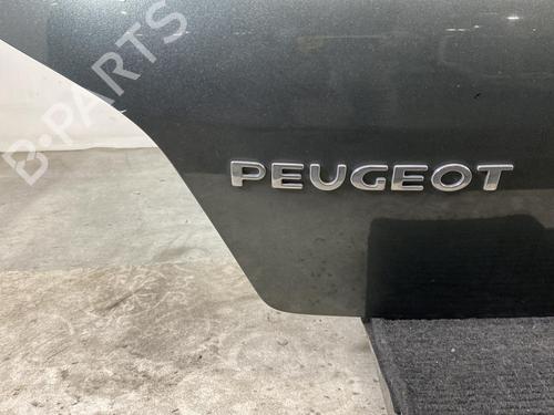 Bagklap CC/Kombi-Coupé PEUGEOT 307 (3A/C) 1.4 16V | BP19992636C6 