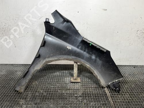 left-front-fenders-citroen-c4-ii-nc_-2009-31354434 main image