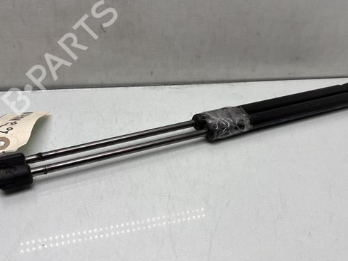 Tailgate lift support PEUGEOT 3008 I MPV (0U_) 1.6 BlueHDi 120 | BP29567202C138 