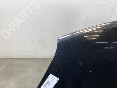Hood CITROËN C4 Picasso I MPV (UD_) 2.0 HDi 138 | BP23769910C1 
