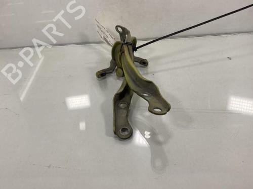 Used Hinge/Door check strap PEUGEOT 107 (PM_, PN_) 1.0 (68 hp) 19969058
