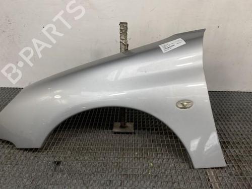 Left front fenders PEUGEOT 206 Hatchback (2A/C) 1.4 HDi eco 70 | BP28314078C41 