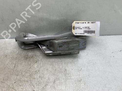 Used Hinge/Door check strap PEUGEOT 307 (3A/C) 2.0 HDi 110 (107 hp) 19956831