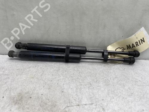 Hood lift support RENAULT GRAND SCÉNIC IV (R9_)  | BP19993144C139