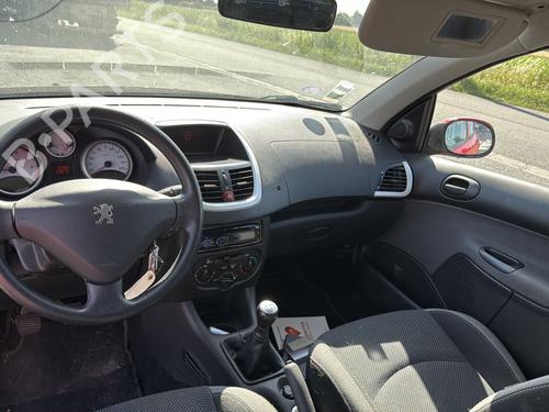 Left front door PEUGEOT 206+ (2L_, 2M_) 1.4 i | BP29999542C2