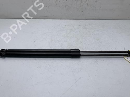 Hood lift support VW TOUAREG (7LA, 7L6, 7L7) 5.0 V10 TDI | BP20007893C139 