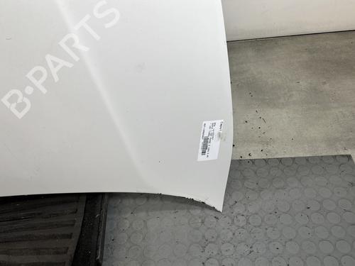 Hood BMW 1 (E87) 120 d | BP30751359C1 