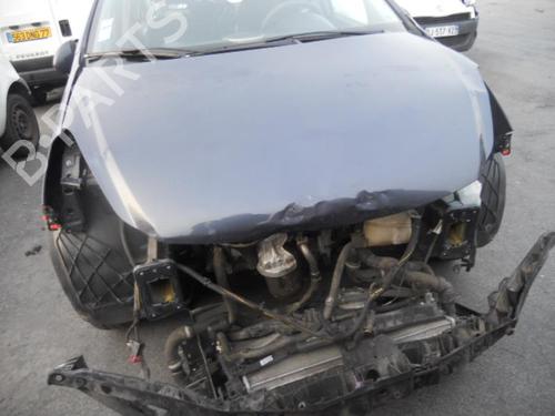 Hinge/Door check strap OPEL CORSA D (S07) 1.3 CDTI (L08, L68) | BP20019238C146 