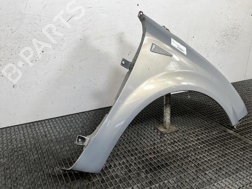 Right front fenders RENAULT SCÉNIC II (JM0/1_) 1.5 dCi (JM02, JM13) | BP29744678C42 