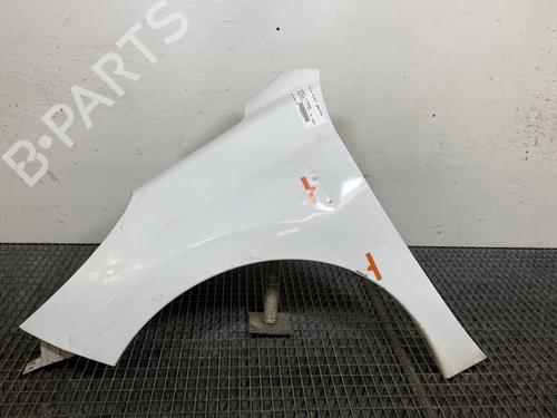 Used Left front fenders PEUGEOT 207 (WA_, WC_) 1.4 HDi (68 hp) 22700289
