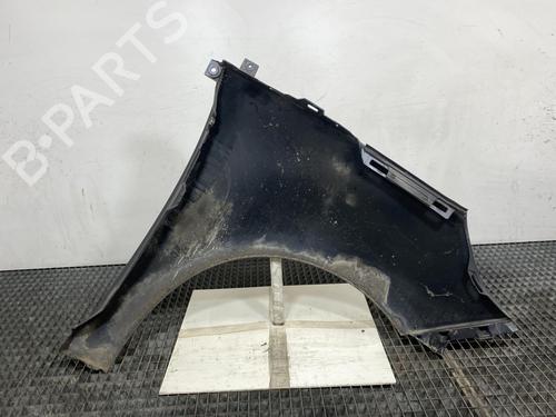 Left front fenders RENAULT SCÉNIC III (JZ0/1_) 1.5 dCi | BP28047206C41 