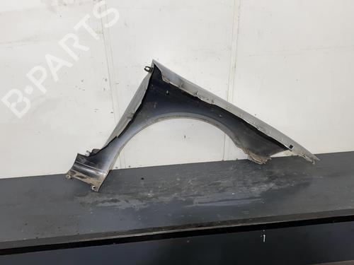 Left front fenders RENAULT LAGUNA II Grandtour (KG0/1_) 1.9 dCi (KG1A, KG1W, KG0G) | BP21955312C41 