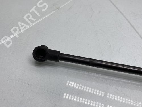 hood-lift-support-dacia-duster-hs_-2010-2011-2012-2013-2014-2015-2016-2017-2018-25813835 main image