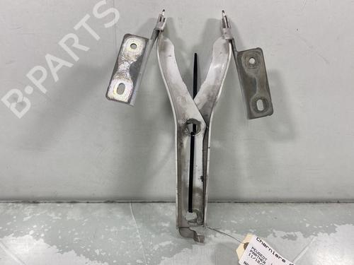 Used Hinge/Door check strap PEUGEOT PARTNER Tepee 1.6 HDi (112 hp) 30968653