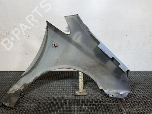 Left front fenders OPEL CORSA D (S07) 1.3 CDTI (L08, L68) | BP23768643C41 