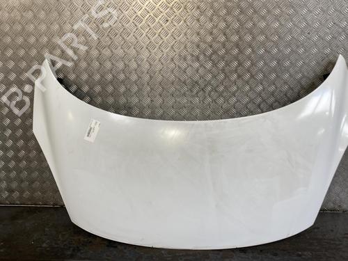 Used Hood RENAULT SCÉNIC III (JZ0/1_) 1.5 dCi (110 hp) 20009454