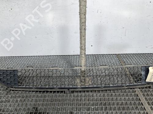 Used Grille PEUGEOT 1007 (KM_) 1.6 HDi (109 hp) 28522430