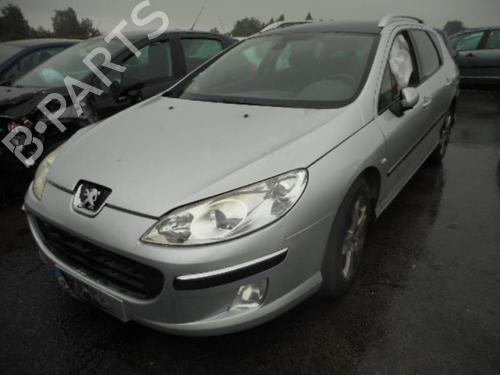 Left rear door PEUGEOT 407 SW (6E_, 6D_) 2.0 HDi 135 | BP20031876C4 