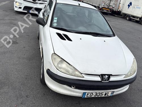 Right front door PEUGEOT 206 Hatchback (2A/C) 1.9 D | BP29279101C3 