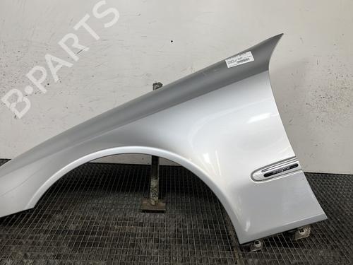 Used Left front fenders MERCEDES-BENZ E-CLASS (W211) E 220 CDI (211.006) (150 hp) 30082724