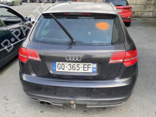 Left front door AUDI A3 Sportback (8PA) 2.0 TFSI quattro | BP22713720C2 